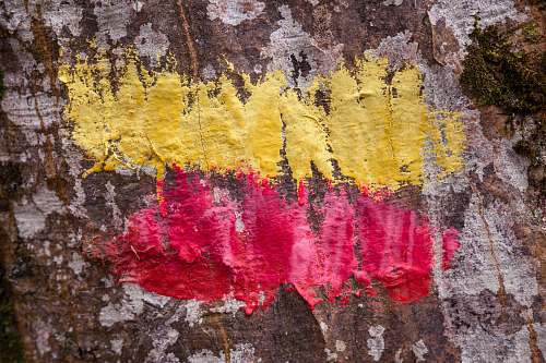 russia brown and white tree trunk with yellow and red paint paint